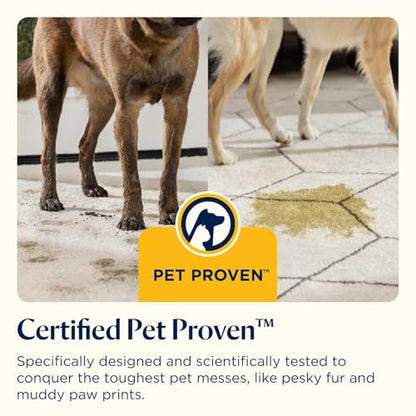 BISSELL SpotClean Pet, Carpet Cleaner, Portable Spot Cleaner, Spills & Carpet Stain Remover