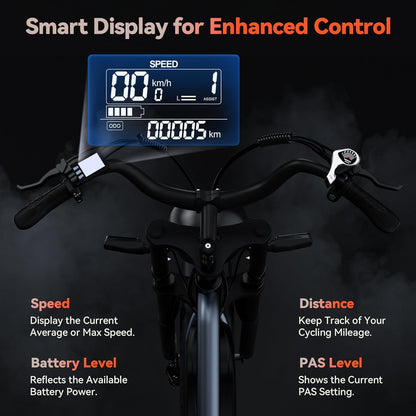 20" Fat Tyre Electric Bike with 250W Motor, 48V 17Ah Removable Battery & Full Suspension