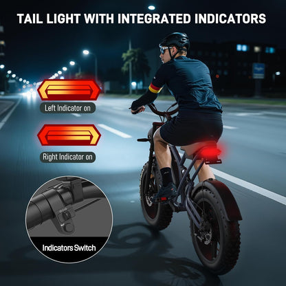 20" Fat Tyre Electric Bike with 250W Motor, 48V 17Ah Removable Battery & Full Suspension