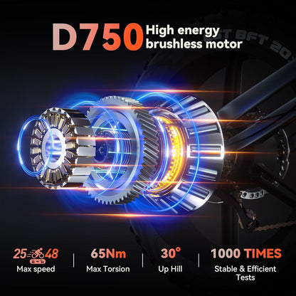 20" Fat Tyre Electric Bike with 250W Motor, 48V 17Ah Removable Battery & Full Suspension
