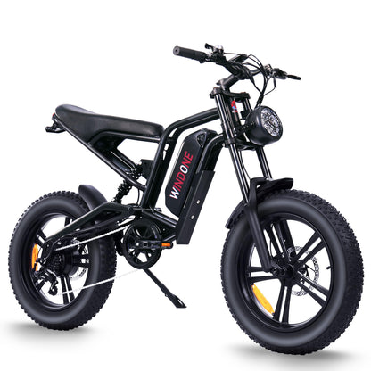 26" Fat Tyre Electric Bike with 1000W Peak Brushless Motor, 48V 13Ah Removable Battery