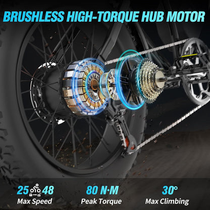 20" Fat Tyre Electric Bike with 250W Brushless Motor, 48V 15.6Ah Removable Battery, Dual Suspension