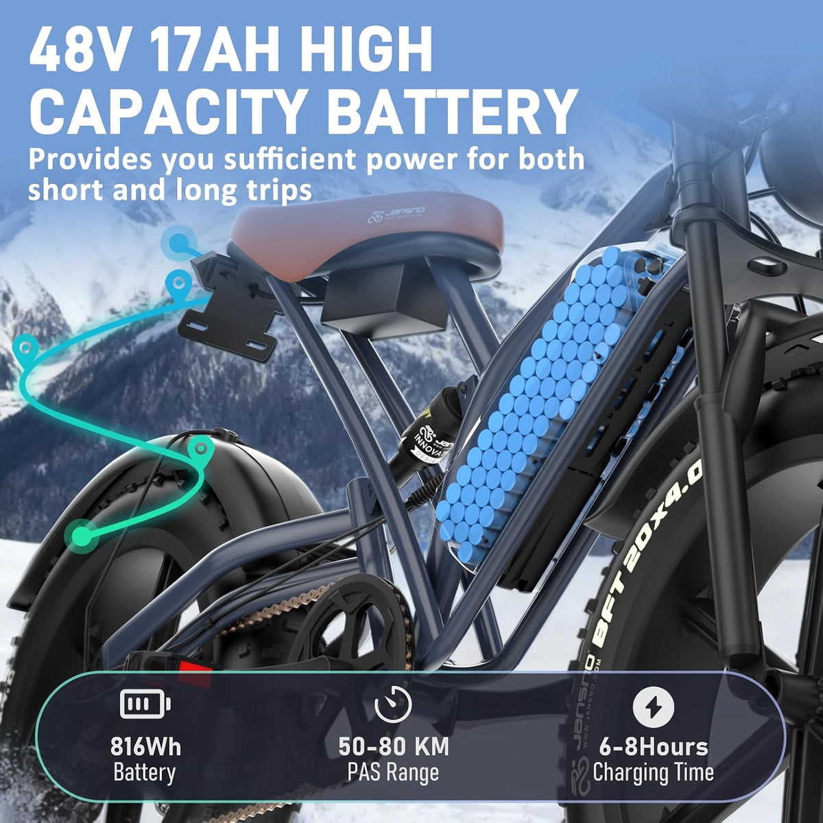20" Fat Tyre Electric Bike with 250W Motor, 48V 17Ah Removable Battery & Full Suspension