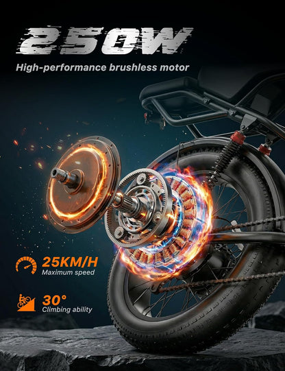 20" Fat Tyre Electric Bike with 250W Brushless Motor, 48V 20Ah Removable Battery & Dual Suspension