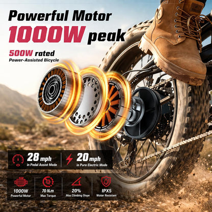 26" Fat Tyre Electric Bike with 1000W Peak Brushless Motor, 48V 13Ah Removable Battery