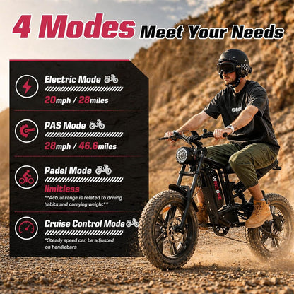 26" Fat Tyre Electric Bike with 1000W Peak Brushless Motor, 48V 13Ah Removable Battery