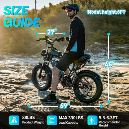 20" Fat Tyre Electric Bike with 250W Brushless Motor, 48V 15.6Ah Removable Battery, Dual Suspension