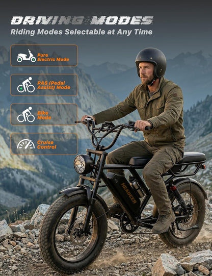 20" Fat Tyre Electric Bike with 250W Brushless Motor, 48V 20Ah Removable Battery & Dual Suspension